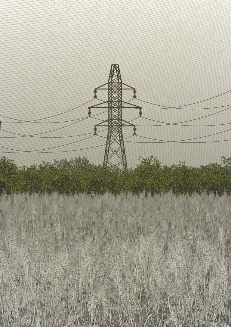 Fields of the Abandoned Homeland image 5