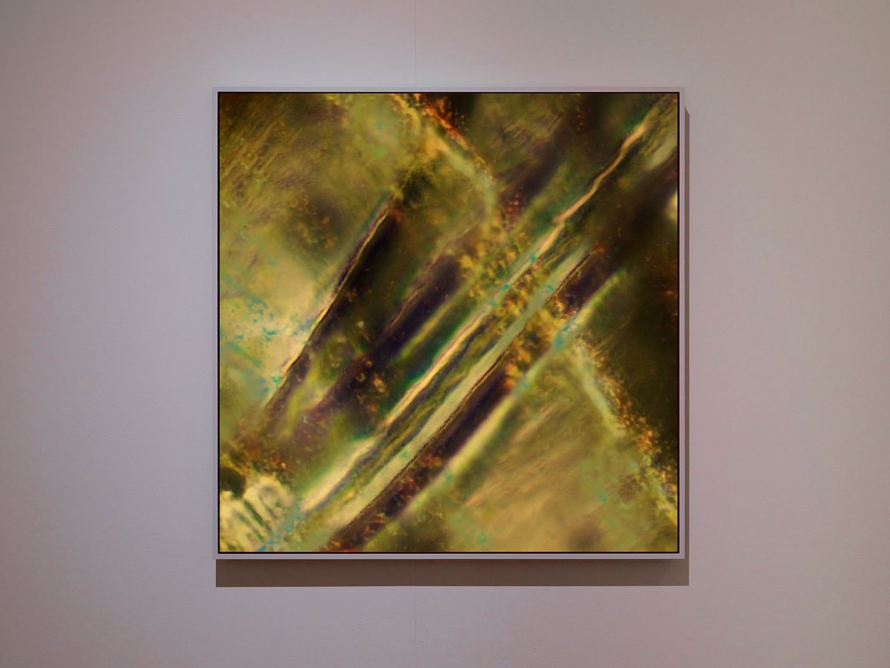Casey Reas, Earthly Delights 4.3 (2025). Courtesy of the artist and bitforms