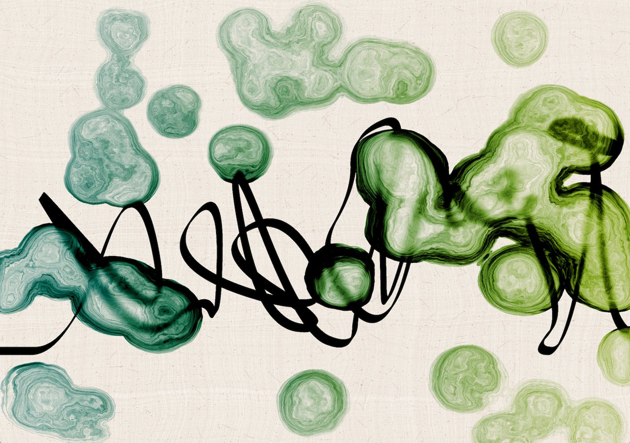 Melissa Wiederrecht, Sudfah #285, 2022. Courtesy of the artist