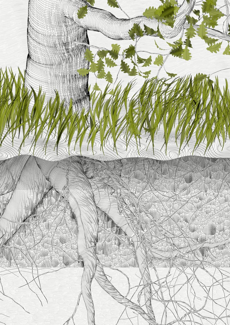Zancan, The Oak Tree part #0,-1, 2021. Courtesy of the artist