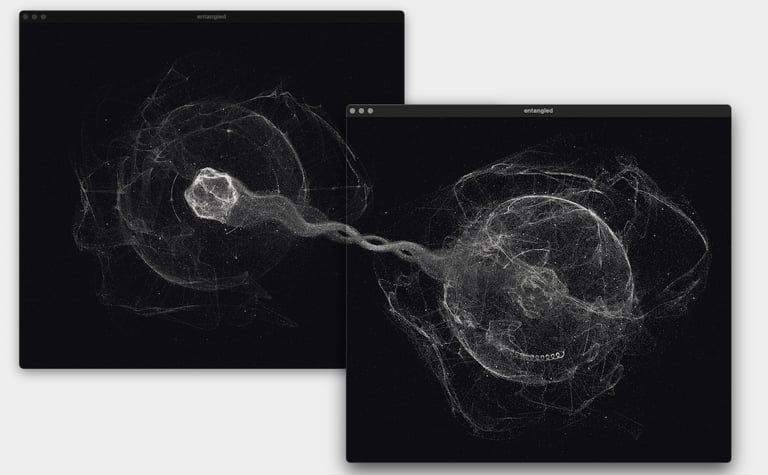 Entangled image 2