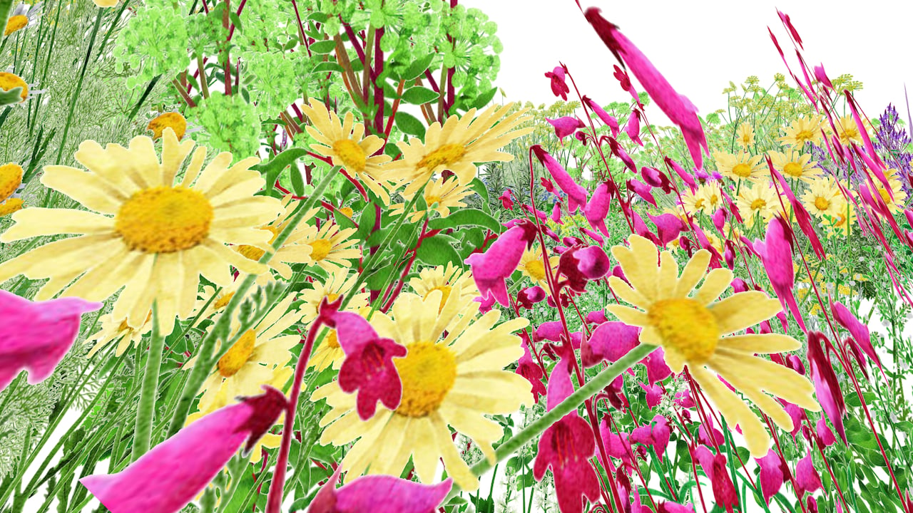 Living Artwork | Alexandra Daisy Ginsberg