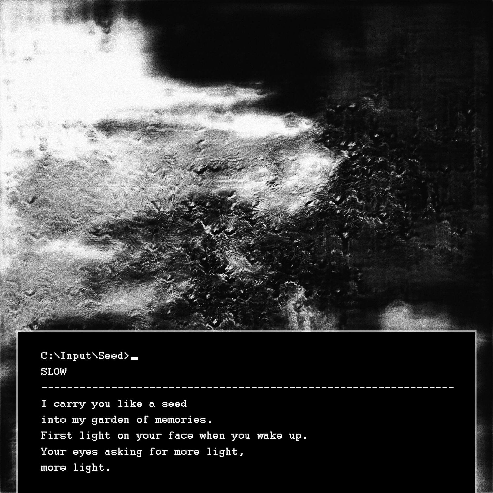 Gen Text Issue 3: Seeds and Ashes image 2