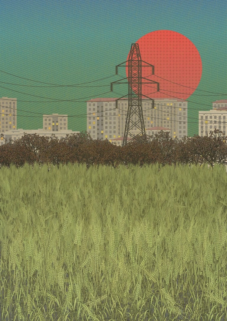 Fields of the Abandoned Homeland image 10