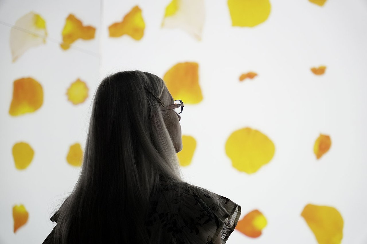 Installation view of Sarah Mehoyas, Infinite Petals. Courtesy of Toledo Museum of Art