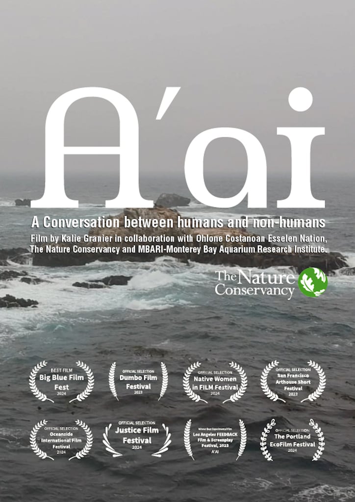 A’ai image 2