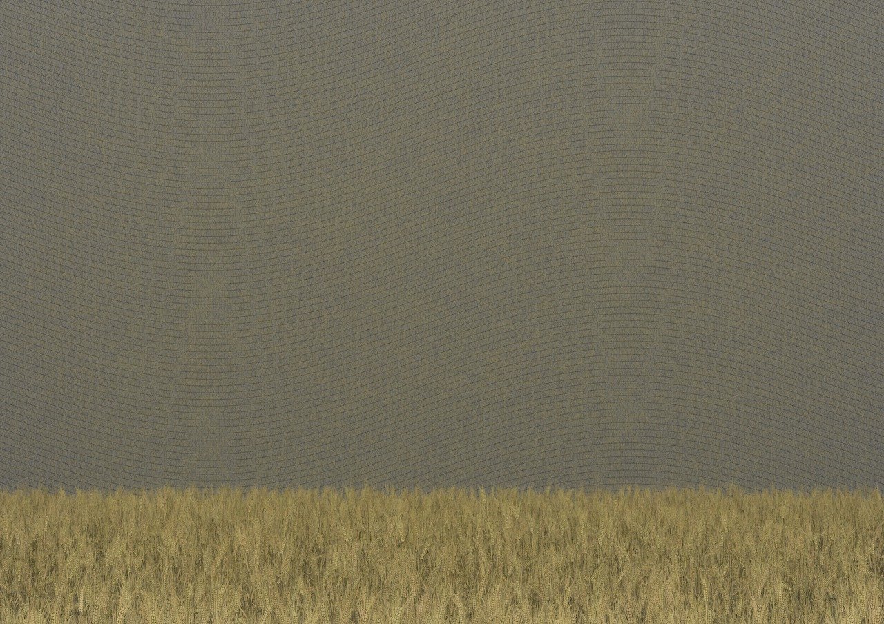 Fields of the Abandoned Homeland image 9