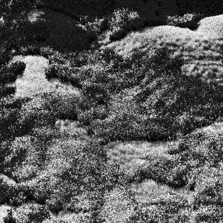 Nat Sarkissian, California Hills in Late Sun #8, 2022. Courtesy of the artist