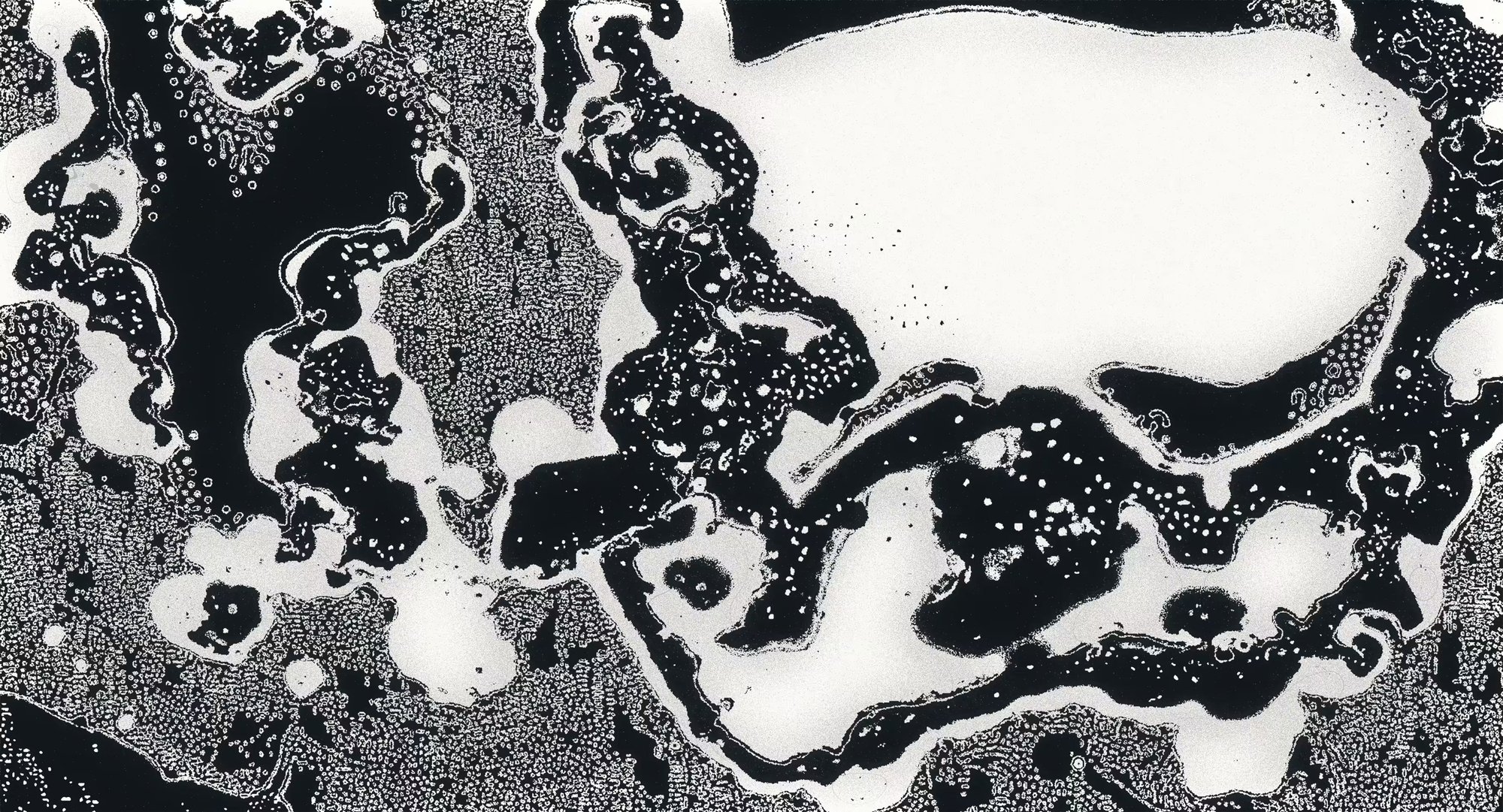 On Collecting | thefunnyguys on How Interfaces Shape Digital Art