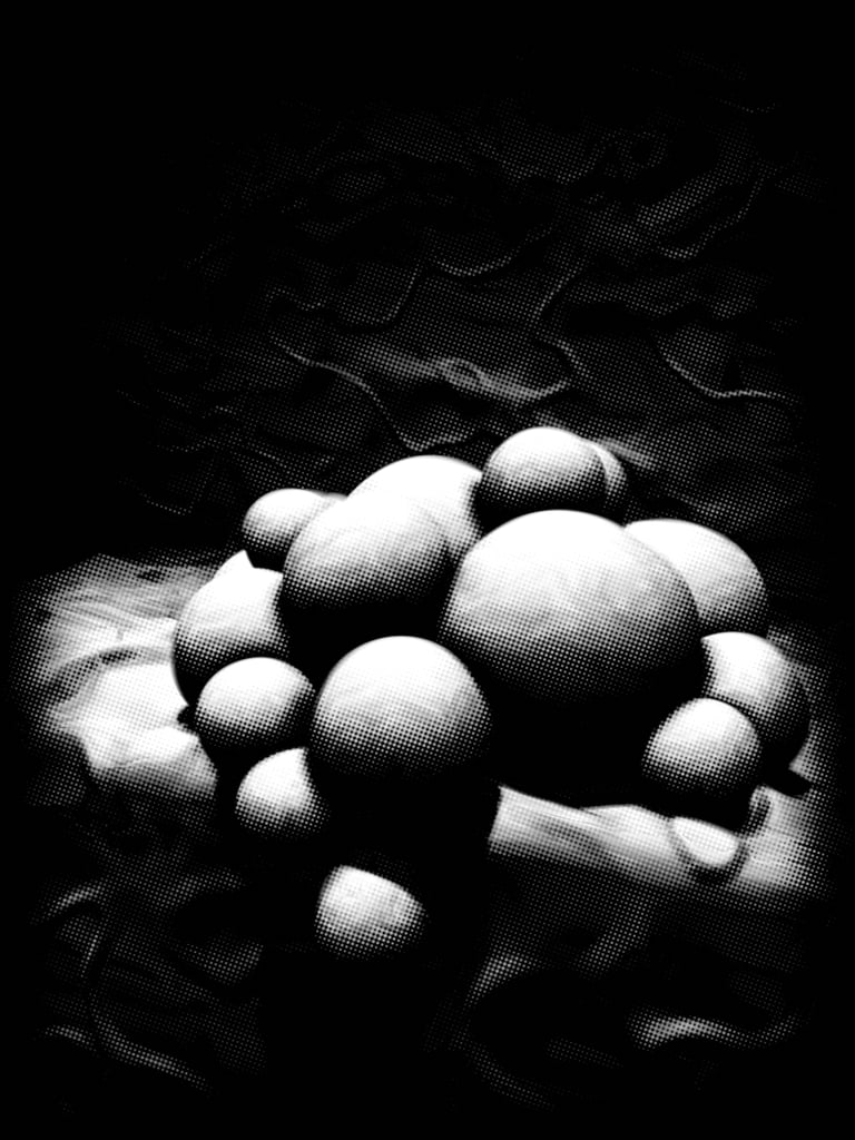Balls to the Walls image 2