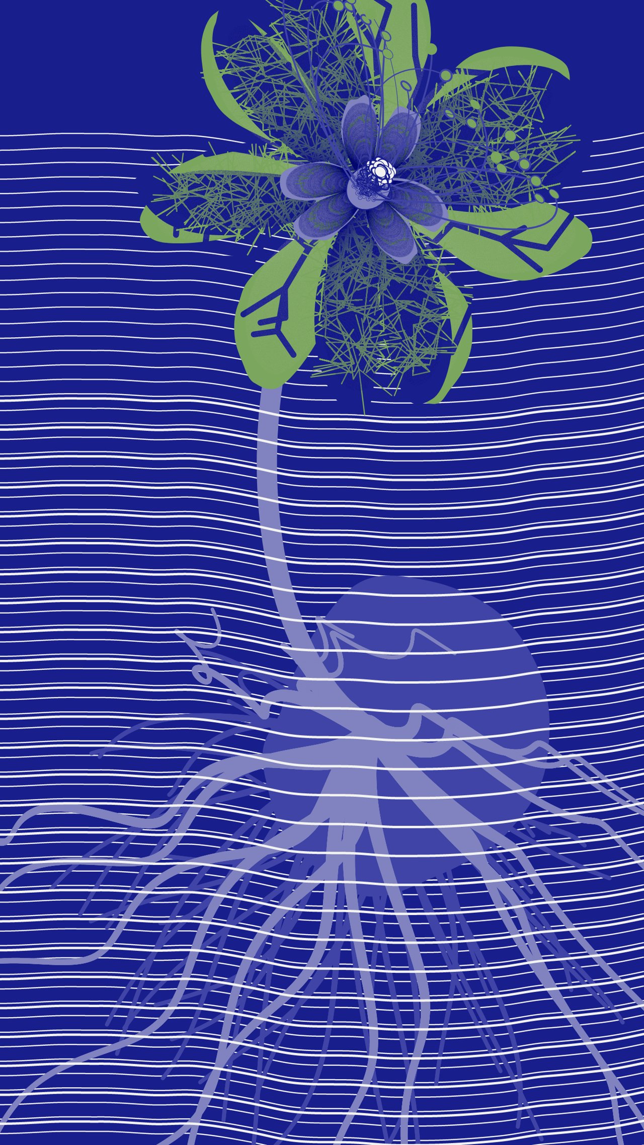 Underwater (test mint) image 5