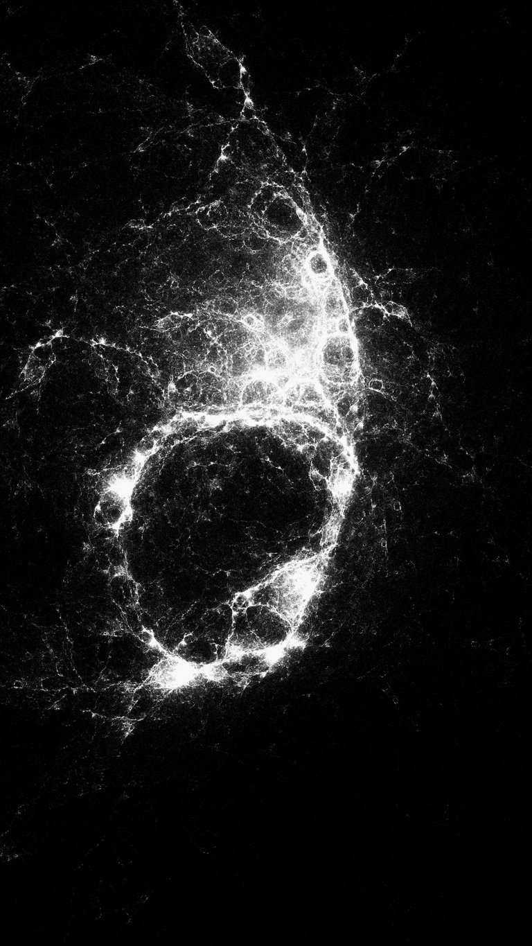 Circle inversion image 2