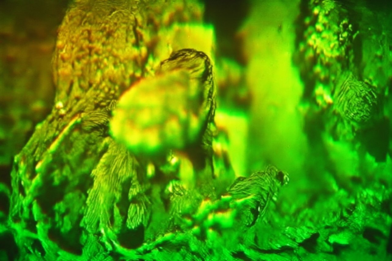 Credit: Damien Roach, Artefact 7 (Denisyuk) [iii], 2024. Machine learning model trained on Denisyuk holograms. Courtesy of the artist