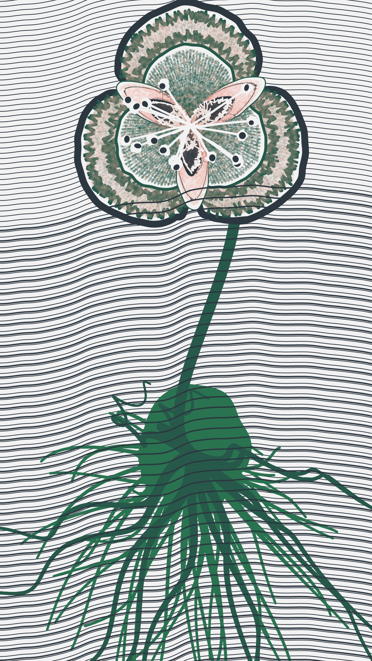 Underwater (test mint) image 6