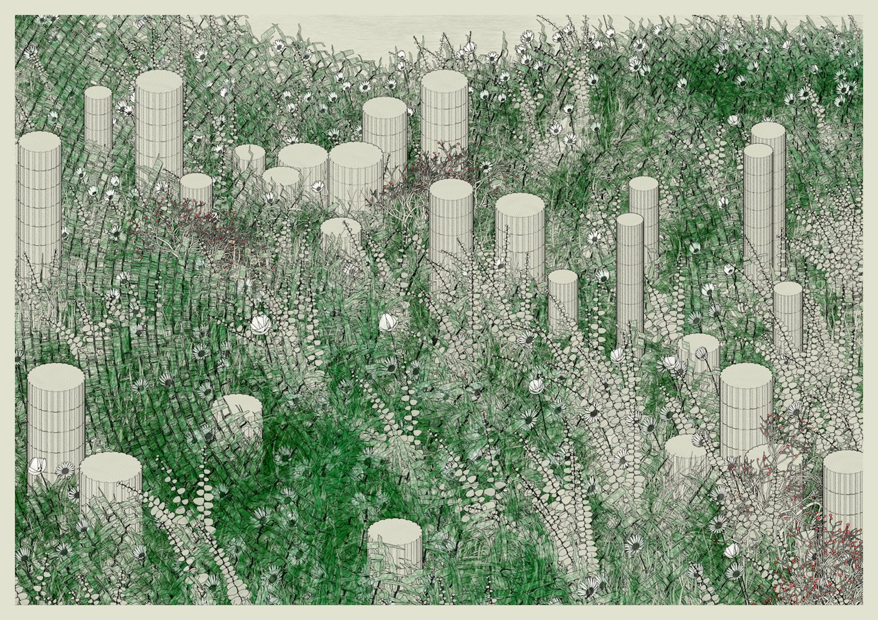On the New Evolution of Generative Art