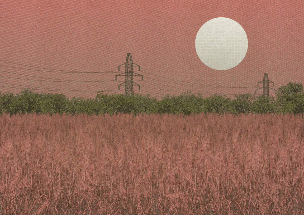 Fields of the Abandoned Homeland image 2