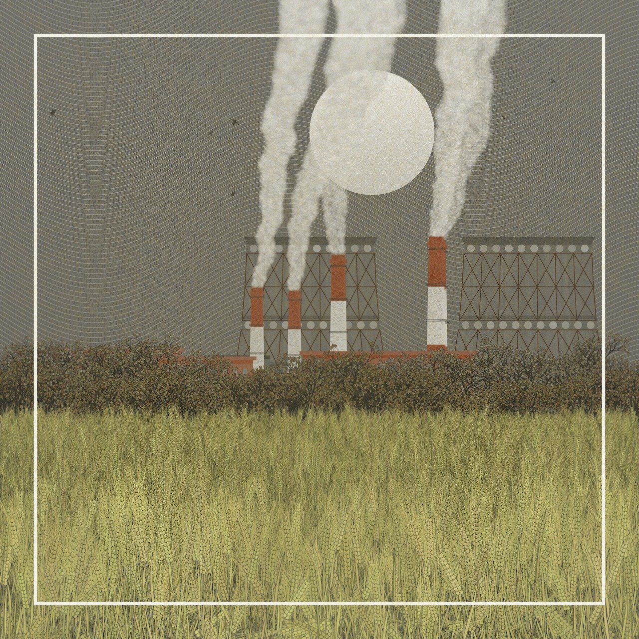 Fields of the Abandoned Homeland image 4