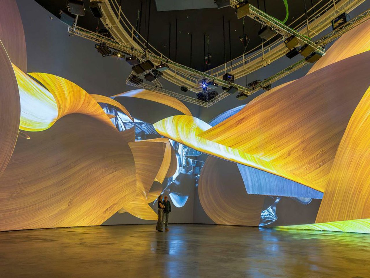 Living Architecture: Gehry image 2