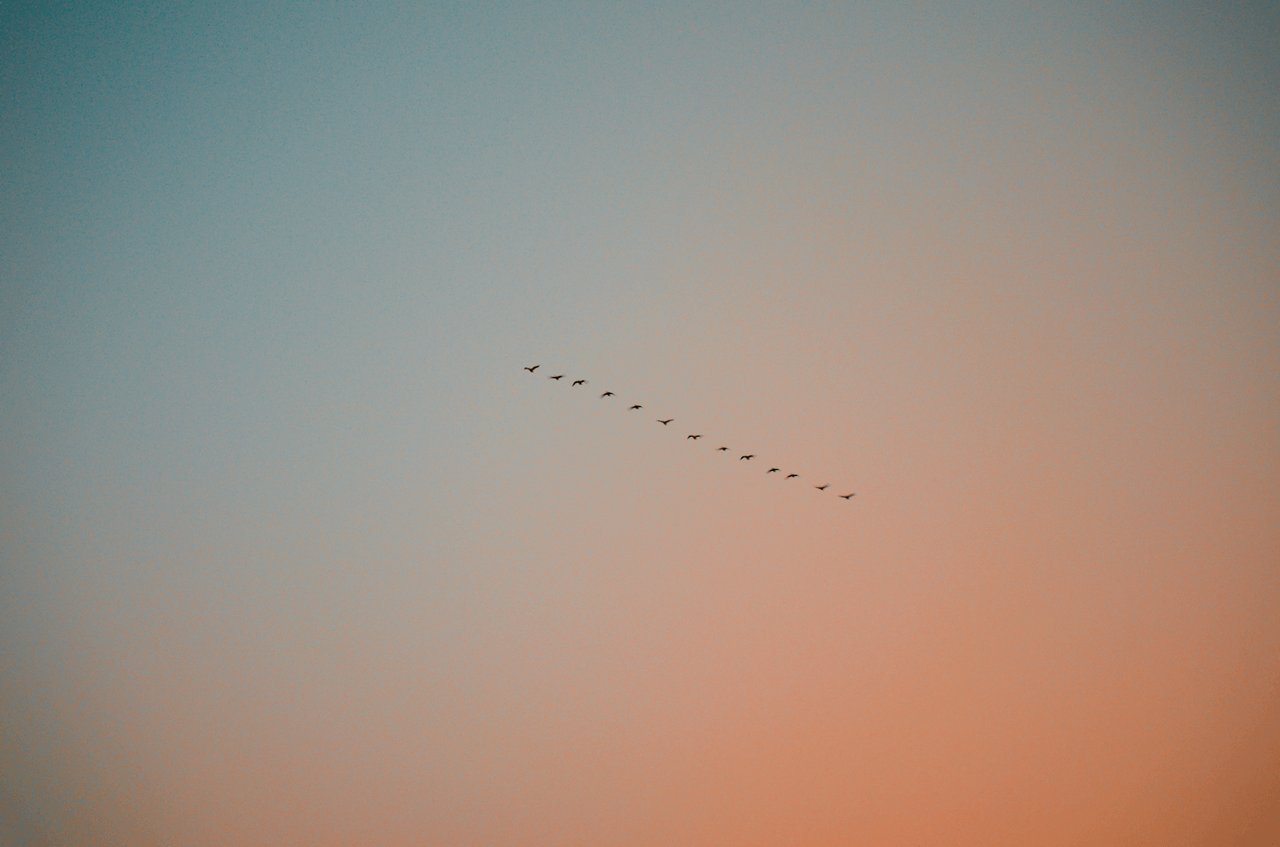 Taysa Jorge, Soaring Through Skies, 2016/2022. Courtesy of the artist