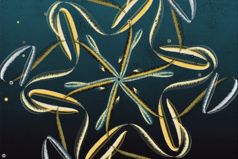 Anna Carreras, “Ganxillo” generative art, 2021. Courtesy of the artist