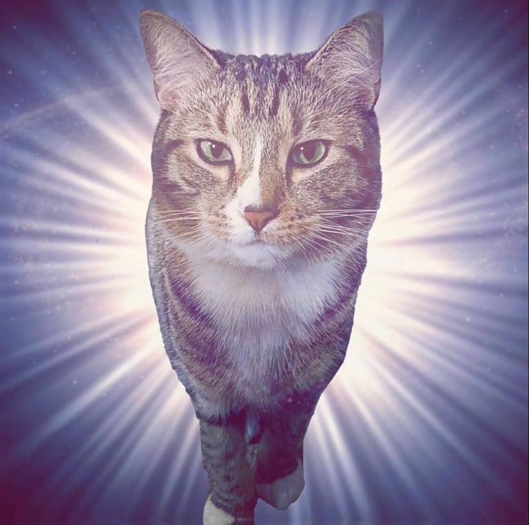 Yoeshi Labs, The Lion Kitty, 2021. Courtesy of the artist