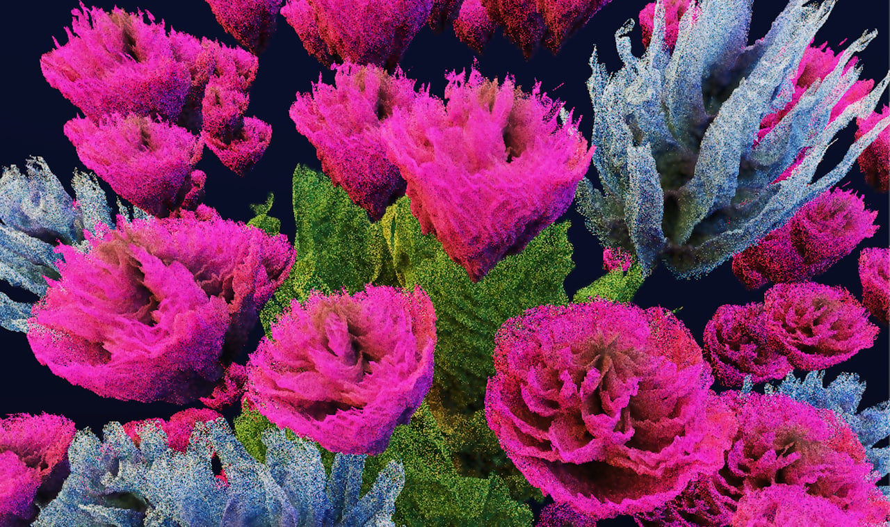Credit: Ella Hoeppner, rosarium #126 (detail), 2023. Courtesy of the artist