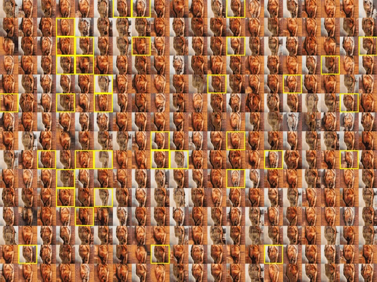 Robbie Barrat’s 300 “Lost Robbies,” 2018, with the claimed or “Found Robbies” highlighted. Courtesy of the artist