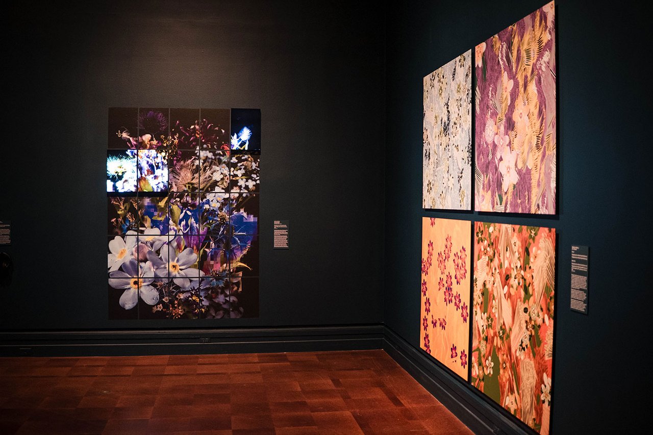 Installation view showing Sofia Crespo and Anna Ridler, 83 Seeds from a Vanishing Mountain (left) and Monica Rizzoli, four works from Fragments of an Infinite Field (right). Courtesy of Toledo Museum of Art