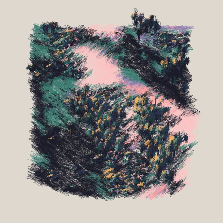 Eucalyptus and Sagebrush image 2