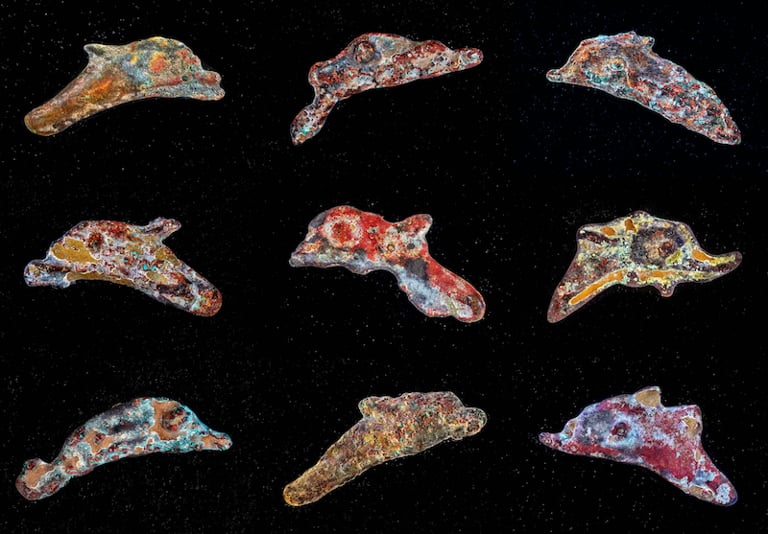 Stephen Sack, Creatures of the Black Sea, 2023. Collection of the artist