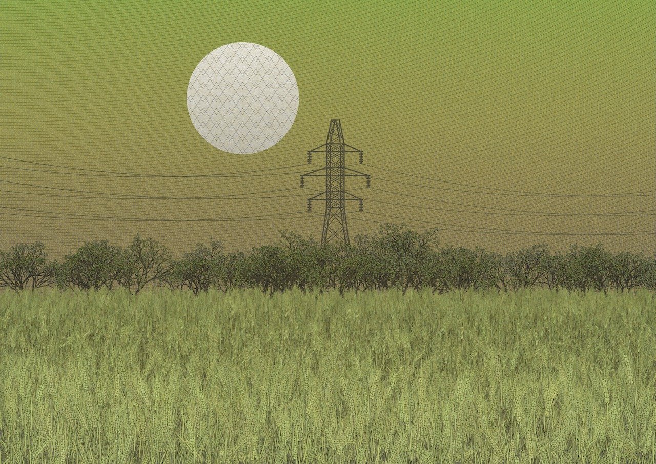 Fields of the Abandoned Homeland image 6