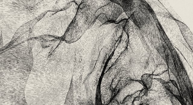 In Emergent Fields | Iskra Velitchkova