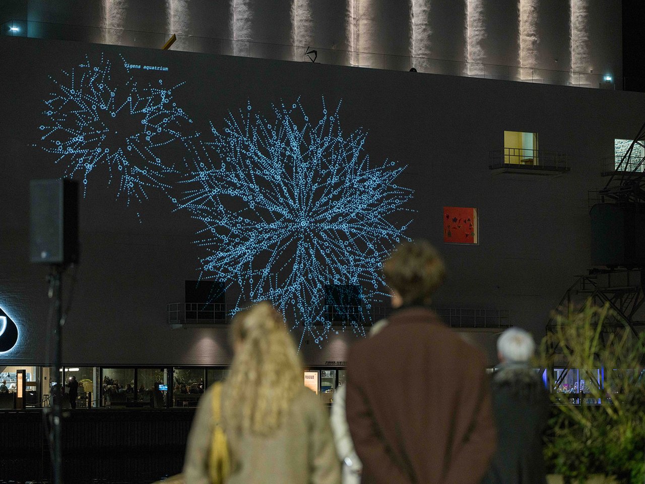 Growing, by Lab212, is projection-mapped onto Kunstsilo’s west façade. Photography courtesy of Kunstsilo