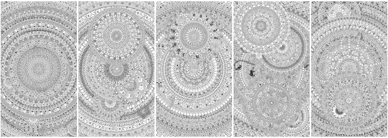 Flower Composition image 2