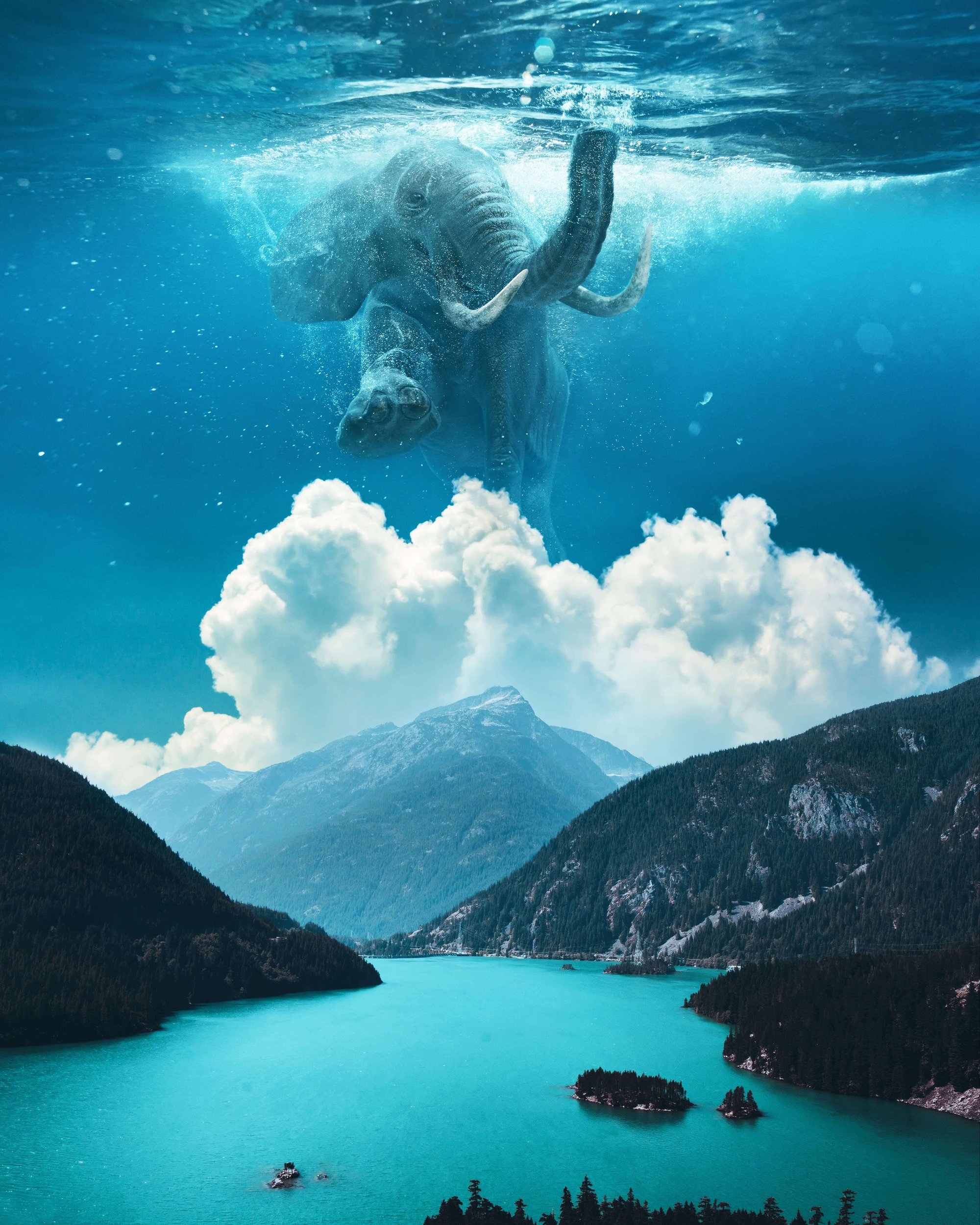 Ted Chin, Sweet Dream, 2021. Courtesy of the artist